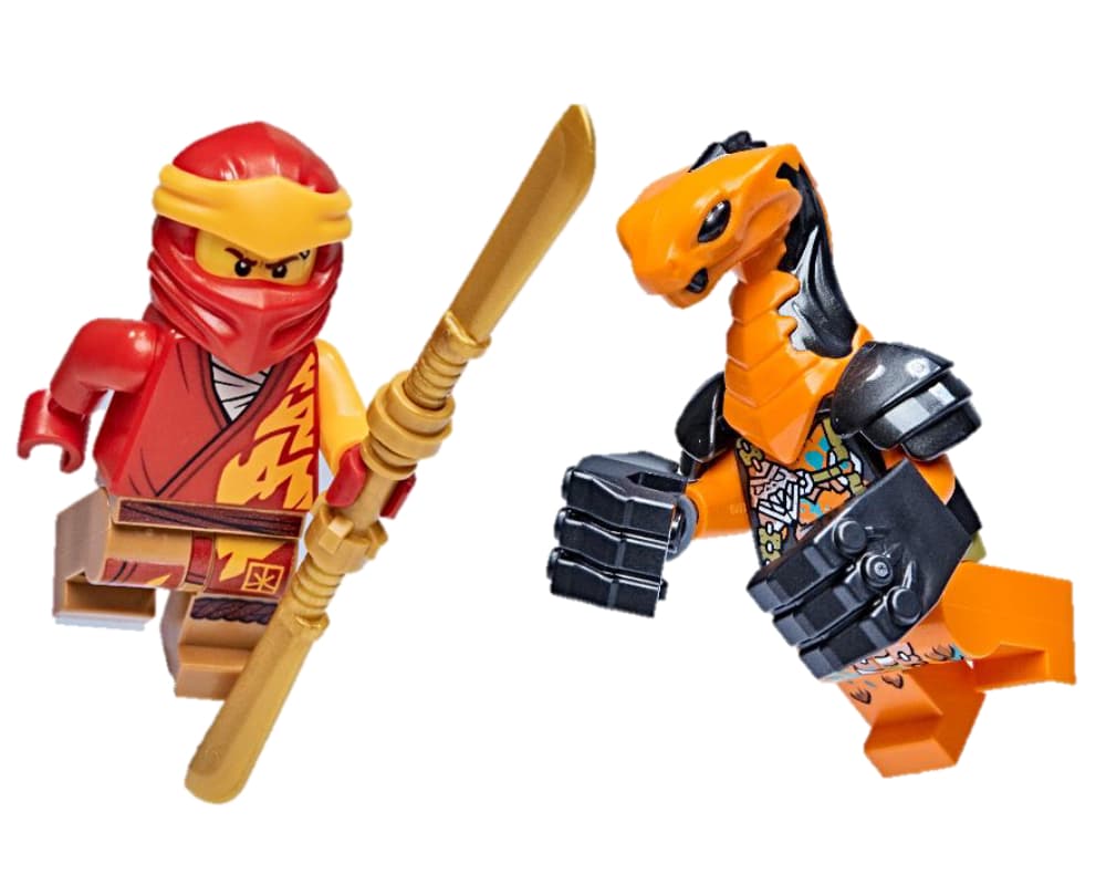 Kai vs. Boa Destructor LEGO Ninjago set (#112217-1, 2022)