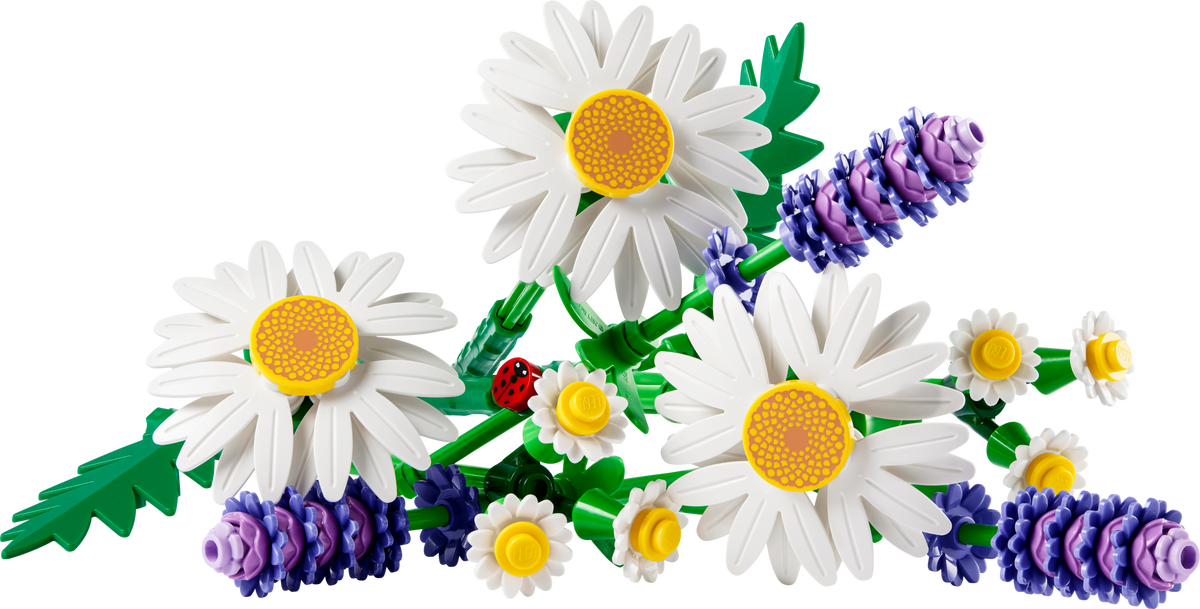Daisies LEGO set (#11508-1, 2026)