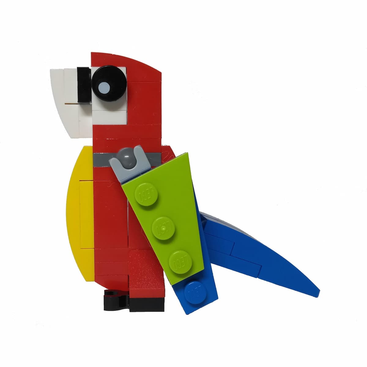 Parrot