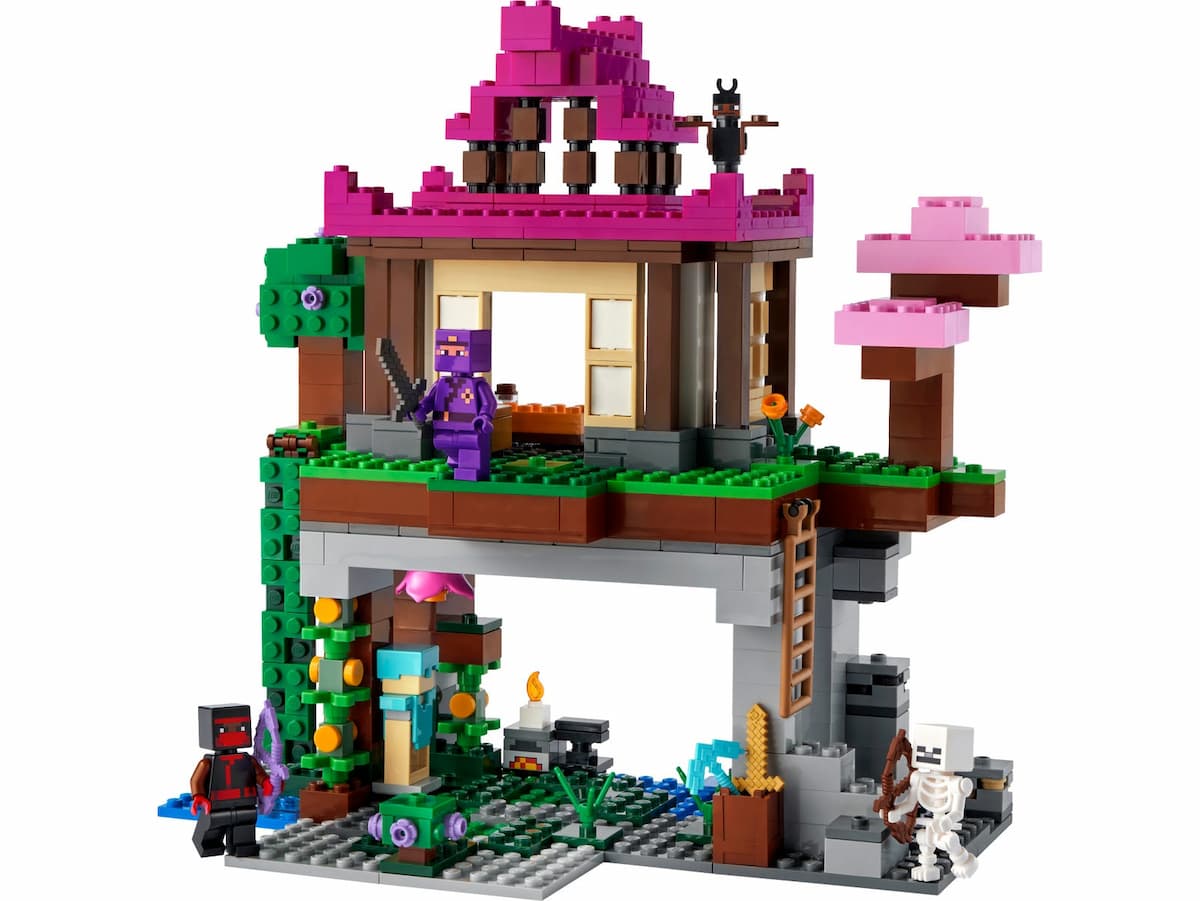 The Training Grounds LEGO set (#21183-1, 2022)
