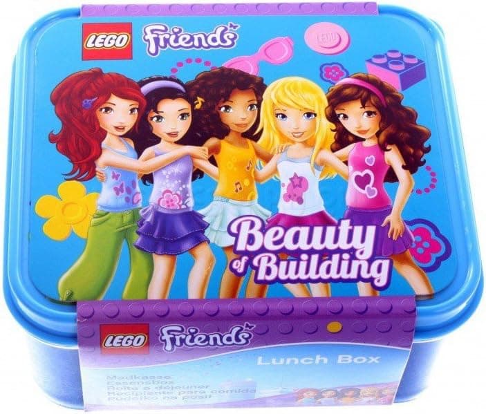 Friends Beauty of Building Lunch Box - Blue