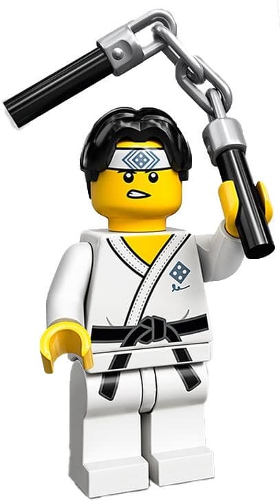 Martial Arts Boy LEGO set (#71027-10)