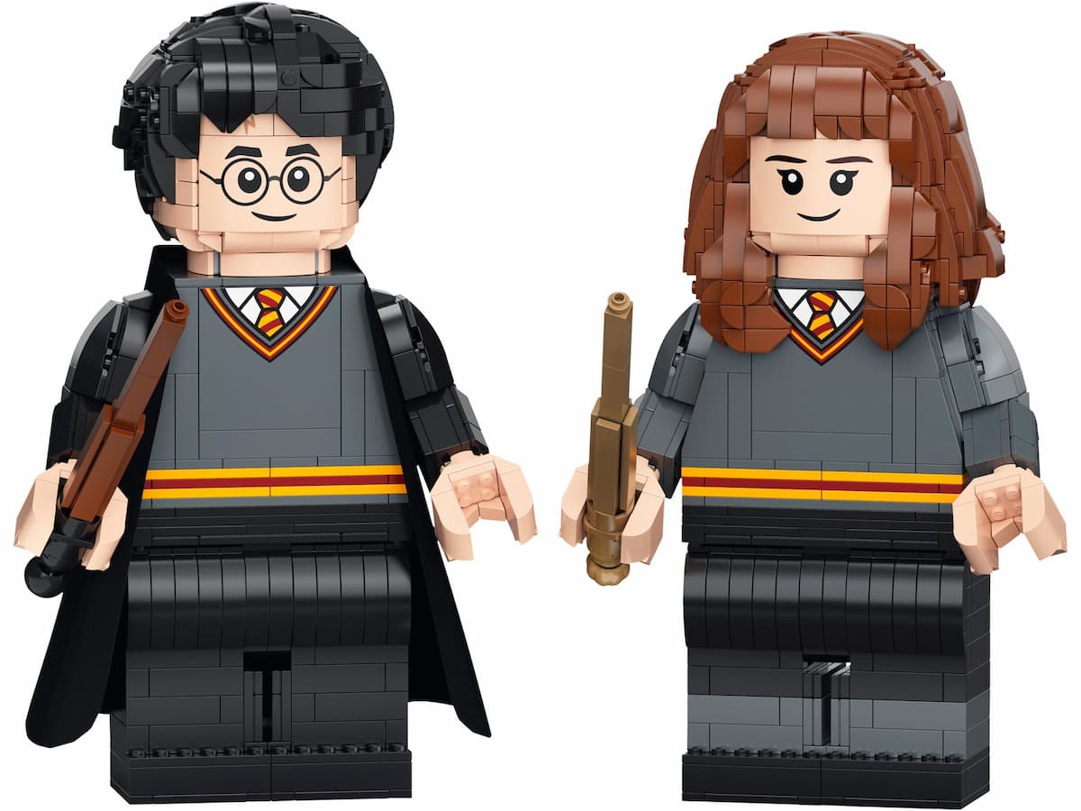Harry Potter & Hermione Granger LEGO set (#76393-1)